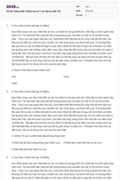 Đề thi Tiếng Việt 3 Giữa học kì 1 có đáp án (Đề 10)