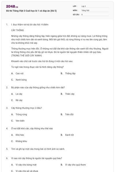 Đề thi Tiếng Việt 3 Cuối học kì 1 có đáp án (Đề 5)