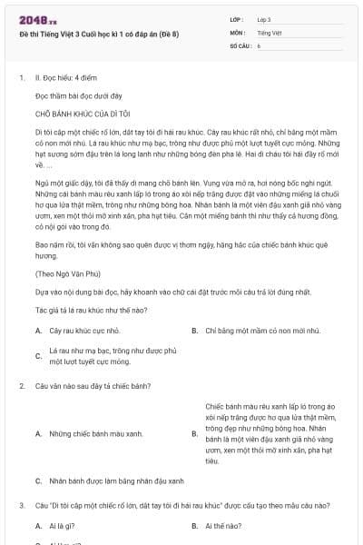Đề thi Tiếng Việt 3 Cuối học kì 1 có đáp án (Đề 8)