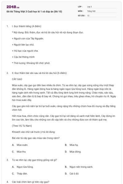 Đề thi Tiếng Việt 3 Cuối học kì 1 có đáp án (Đề 10)