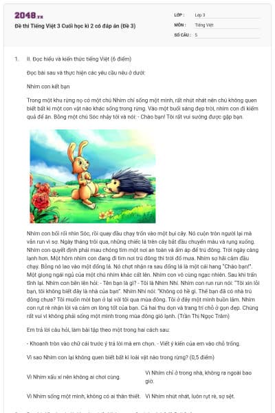 Đề thi Tiếng Việt 3 Cuối học kì 2 có đáp án (Đề 3)