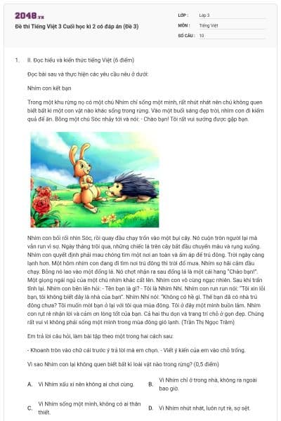 Đề thi Tiếng Việt 3 Cuối học kì 2 có đáp án (Đề 3)