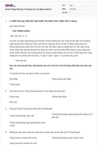 Đề thi Tiếng Việt lớp 2 Cuối học kì 2 có đáp án (Đề 2)