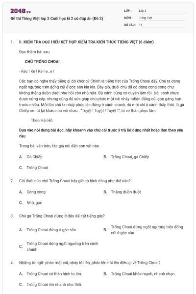 Đề thi Tiếng Việt lớp 2 Cuối học kì 2 có đáp án (Đề 2)