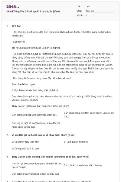 Đề thi Tiếng Việt 3 Cuối học kì 2 có đáp án (Đề 6)