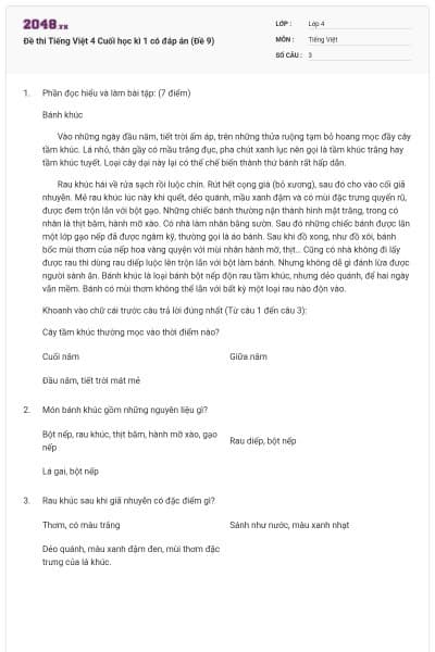 Đề thi Tiếng Việt 4 Cuối học kì 1 có đáp án (Đề 9)