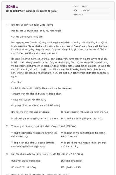 Đề thi Tiếng Việt 4 Giữa học kì 2 có đáp án (Đề 3)
