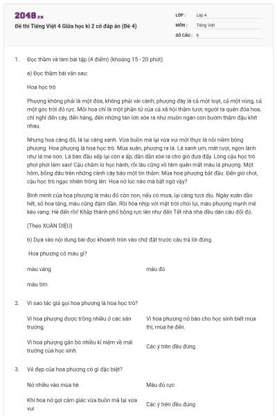 Đề thi Tiếng Việt 4 Giữa học kì 2 có đáp án (Đề 4)