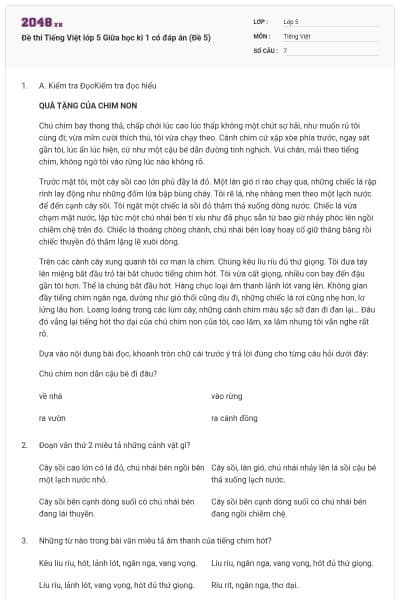 Đề thi Tiếng Việt lớp 5 Giữa học kì 1 có đáp án (Đề 5)