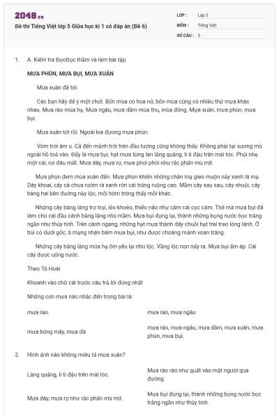 Đề thi Tiếng Việt lớp 5 Giữa học kì 1 có đáp án (Đề 6)