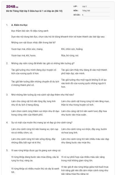 Đề thi Tiếng Việt lớp 5 Giữa học kì 1 có đáp án (Đề 10)