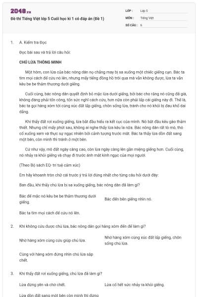 Đề thi Tiếng Việt lớp 5 Cuối học kì 1 có đáp án (Đề 1)