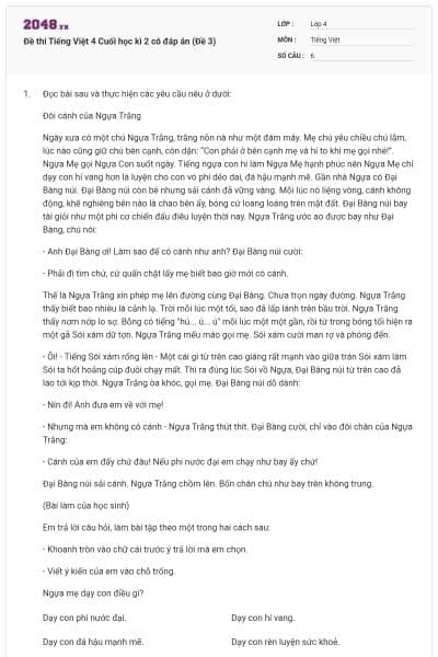 Đề thi Tiếng Việt 4 Cuối học kì 2 có đáp án (Đề 3)