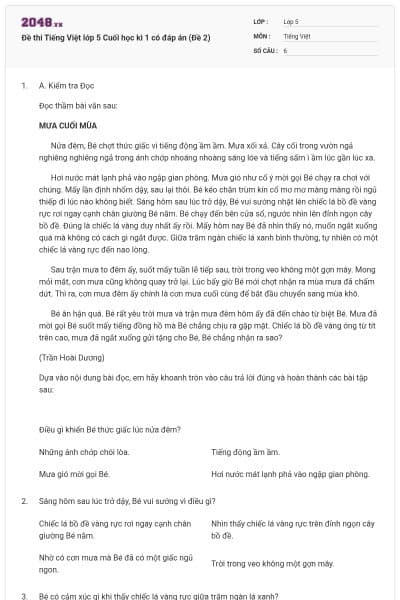 Đề thi Tiếng Việt lớp 5 Cuối học kì 1 có đáp án (Đề 2)