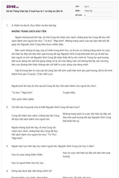 Đề thi Tiếng Việt lớp 5 Cuối học kì 1 có đáp án (Đề 4)