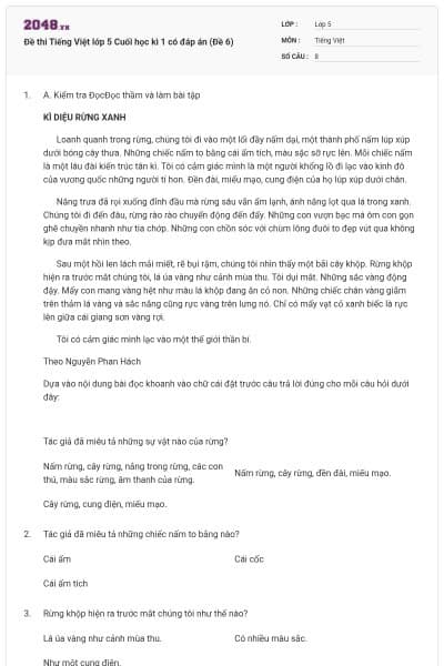 Đề thi Tiếng Việt lớp 5 Cuối học kì 1 có đáp án (Đề 6)