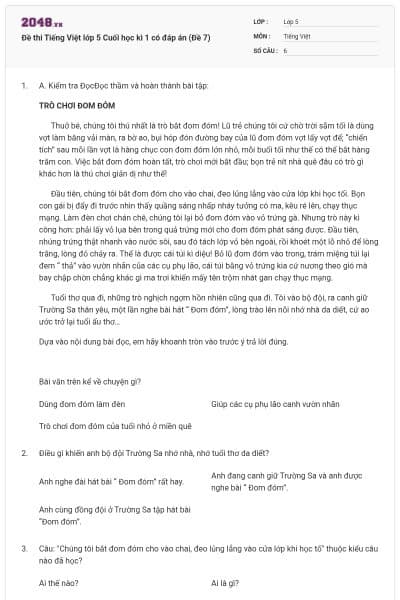 Đề thi Tiếng Việt lớp 5 Cuối học kì 1 có đáp án (Đề 7)