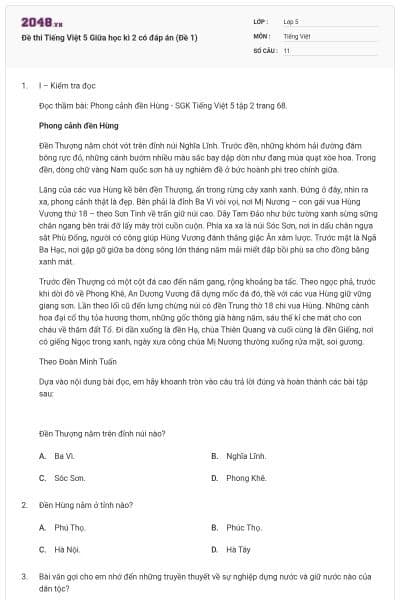 Đề thi Tiếng Việt 5 Giữa học kì 2 có đáp án (Đề 1)