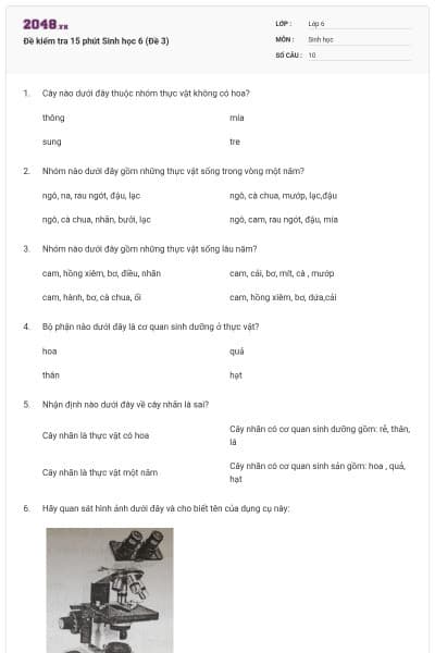 Đề kiểm tra 15 phút Sinh học 6 (Đề 3)