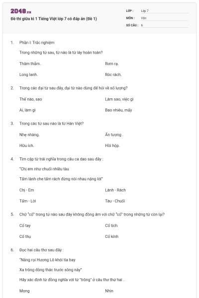 Đề thi giữa kì 1 Tiếng Việt lớp 7 có đáp án (Đề 1)