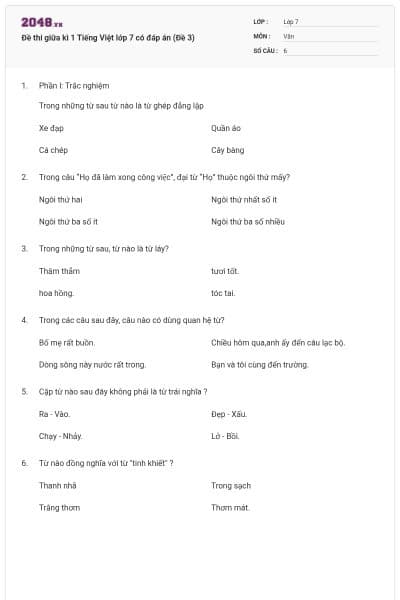 Đề thi giữa kì 1 Tiếng Việt lớp 7 có đáp án (Đề 3)