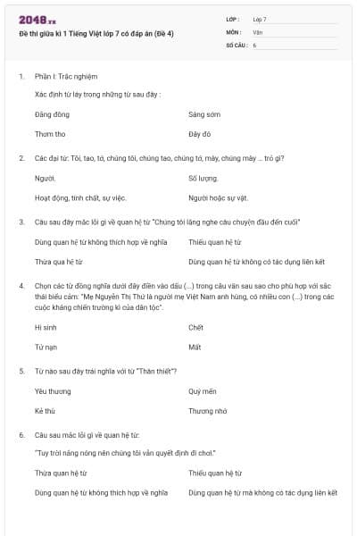 Đề thi giữa kì 1 Tiếng Việt lớp 7 có đáp án (Đề 4)