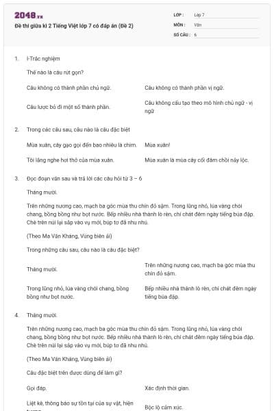 Đề thi giữa kì 2 Tiếng Việt lớp 7 có đáp án (Đề 2)