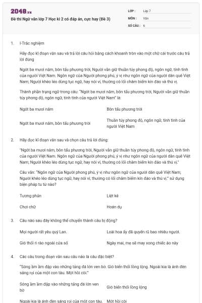 Đề thi Ngữ văn lớp 7 Học kì 2 có đáp án, cực hay (Đề 3)