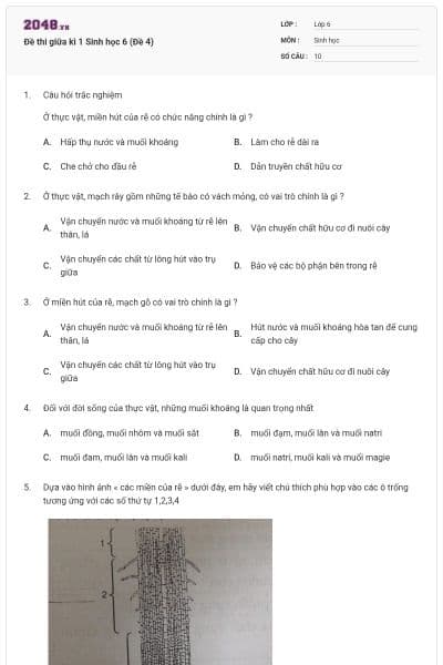 Đề thi giữa kì 1 Sinh học 6 (Đề 4)