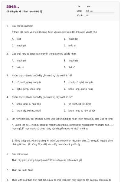 Đề thi giữa kì 1 Sinh học 6 (Đề 2)