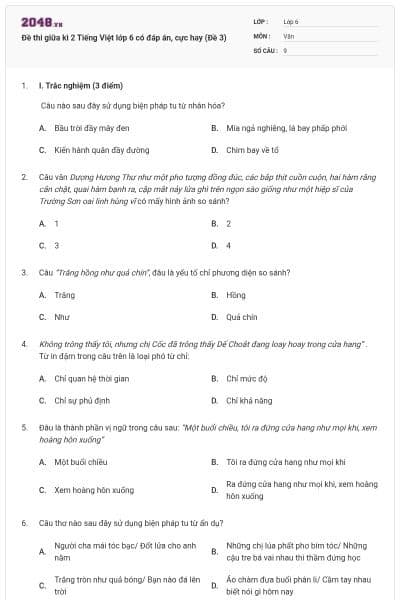 Đề thi giữa kì 2 Tiếng Việt lớp 6 có đáp án, cực hay (Đề 3)