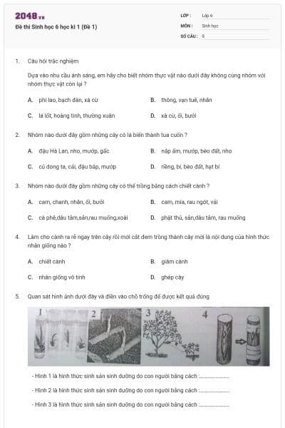 Đề thi Sinh học 6 học kì 1 (Đề 1)