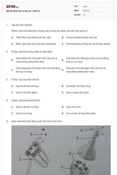Đề thi Sinh học 6 học kì 1 (Đề 3)