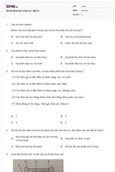 Đề thi Sinh học 6 học kì 1 (Đề 4)