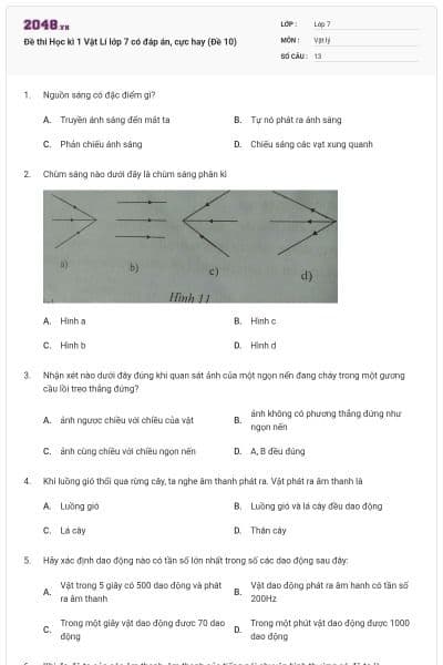 Đề thi Học kì 1 Vật Lí lớp 7 có đáp án, cực hay (Đề 10)