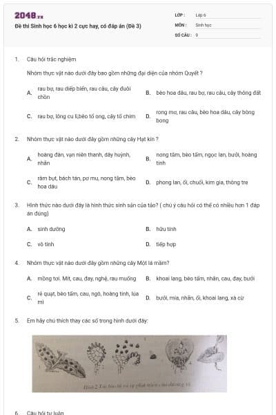 Đề thi Sinh học 6 học kì 2 cực hay, có đáp án (Đề 3)