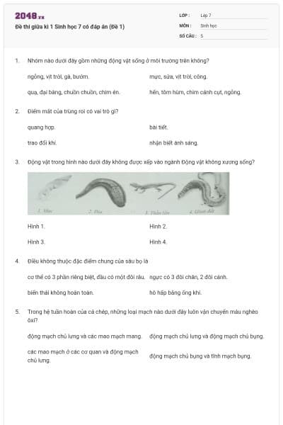Đề thi giữa kì 1 Sinh học 7 có đáp án (Đề 1)
