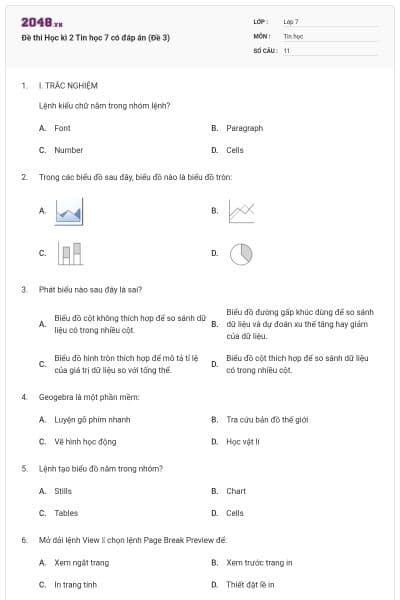 Đề thi Học kì 2 Tin học 7 có đáp án (Đề 3)