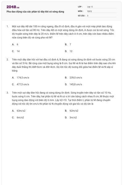Pha dao động của các phần tử dây khi có sóng dừng