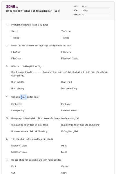 Đề thi giữa kì 2 Tin học 6 có đáp án (Bài số 1 - Đề 3)