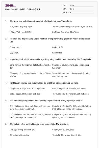 Đề thi Học kì 1 Địa Lí 9 có đáp án (Đề 4)