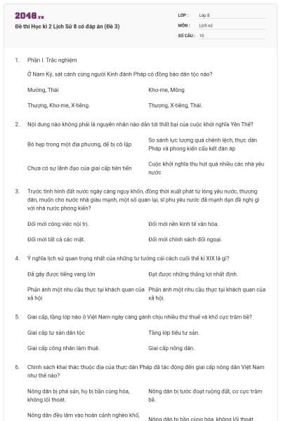 Đề thi Học kì 2 Lịch Sử 8 có đáp án (Đề 3)