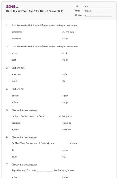 Đề thi Học kì 1 Tiếng Anh 6 Thí điểm có đáp án (Đề 1)