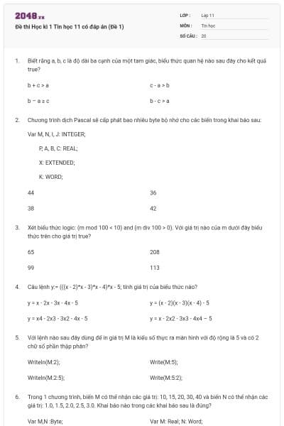 Đề thi Học kì 1 Tin học 11 có đáp án (Đề 1)