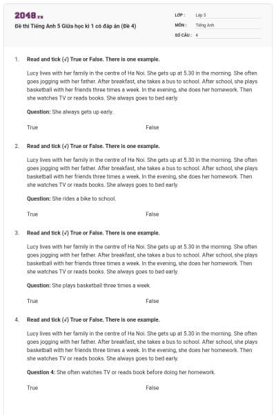 Đề thi Tiếng Anh 5 Giữa học kì 1 có đáp án (Đề 4)