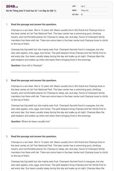 Đề thi Tiếng Anh 5 Cuối học kì 1 có đáp án (Đề 1)