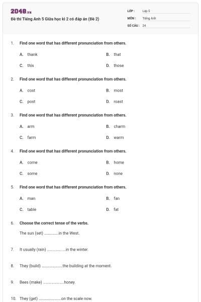 Đề thi Tiếng Anh 5 Giữa học kì 2 có đáp án (Đề 2)