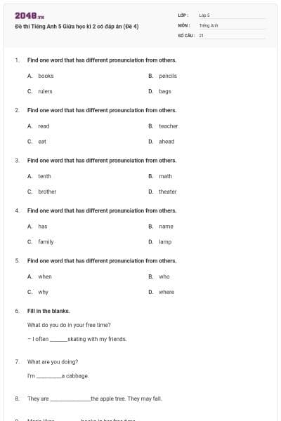 Đề thi Tiếng Anh 5 Giữa học kì 2 có đáp án (Đề 4)