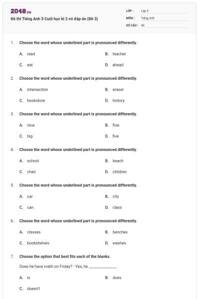 Đề thi Tiếng Anh 5 Cuối học kì 2 có đáp án (Đề 3)