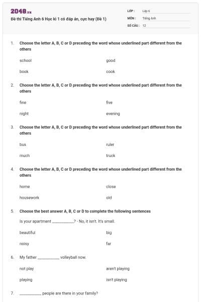 Đề thi Tiếng Anh 6 Học kì 1 có đáp án, cực hay (Đề 1)